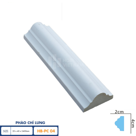 Phao lung PC04